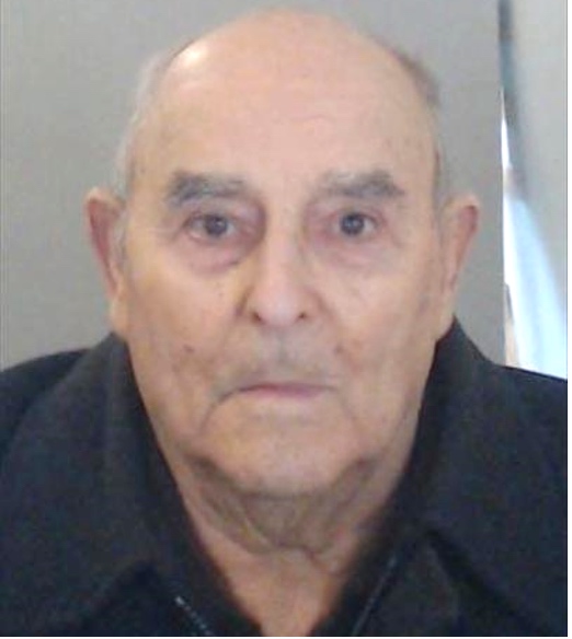 José da Silva Pires