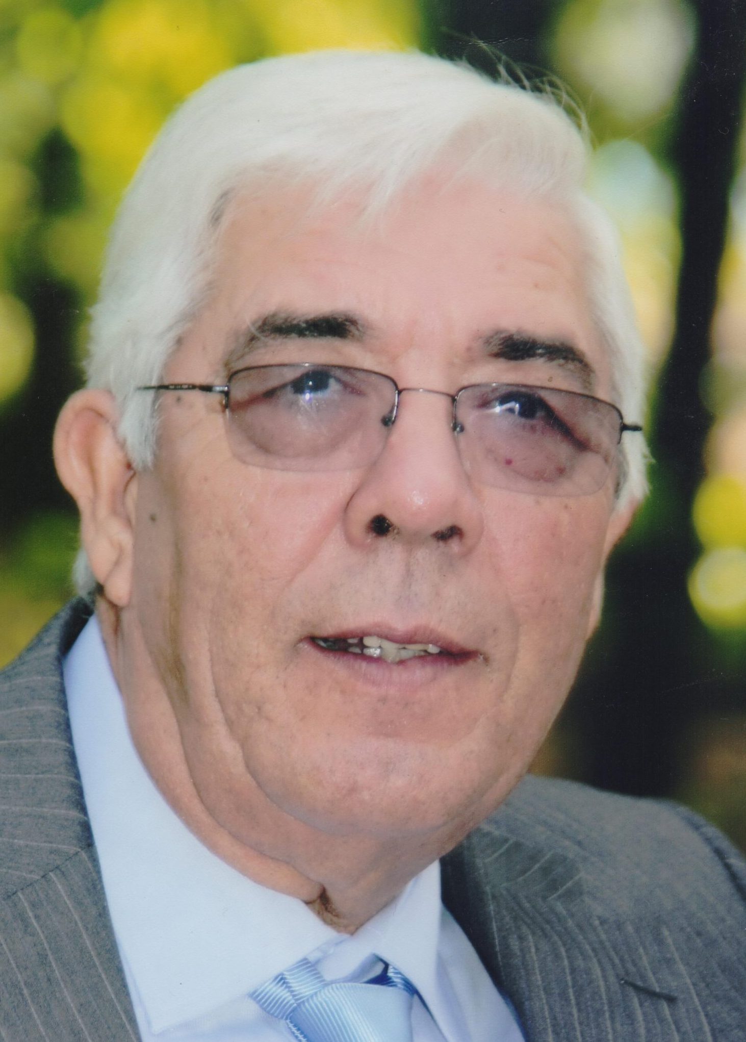 António Ferreira Domingues